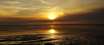 Domizil Friedrichskoog - Semi-detached house Domizil Friedrichskoog