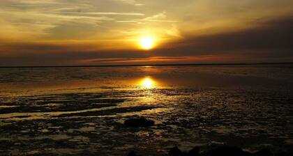 Maison jumelée Domicile Friedrichskoog