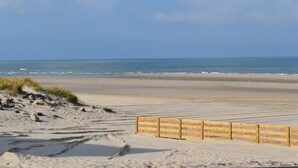 A beach with a wooden fence and dunes.