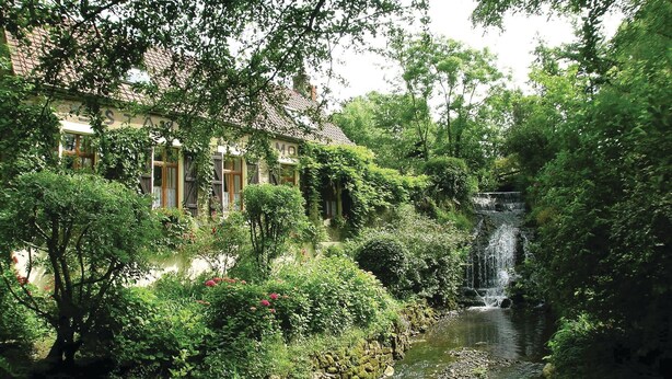 A lush garden with a waterfall, a stone wall, and a building with windows.