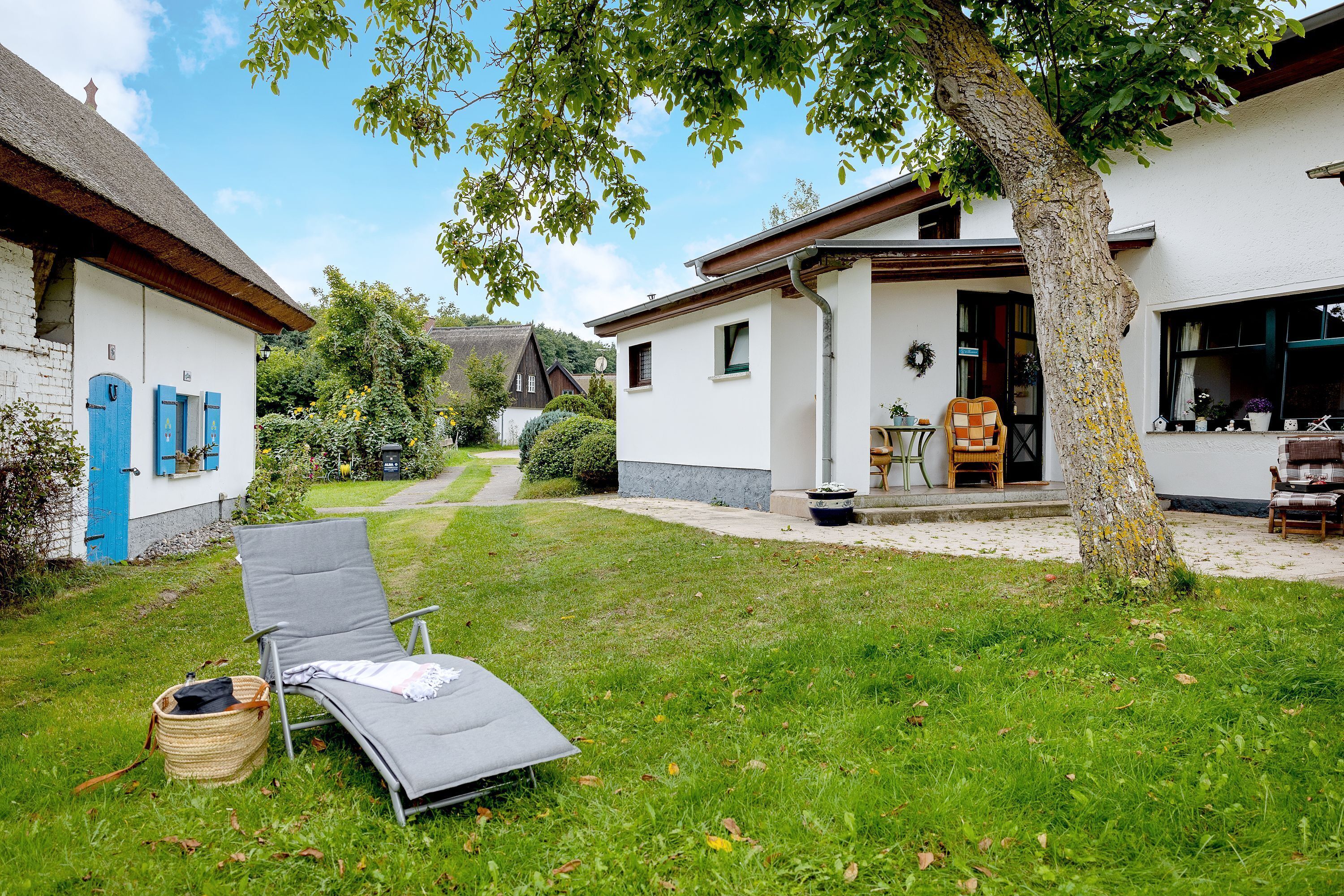A house with a grassy yard, a lounge chair, and a tree.