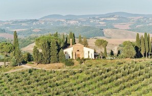 Escape to a serene rural retreat surrounded by lush greenery and olive groves.