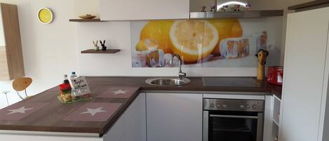 Fridge, oven, dishwasher, electric kettle