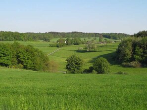 Uklassifisert bilde, 5 av 24, knapp