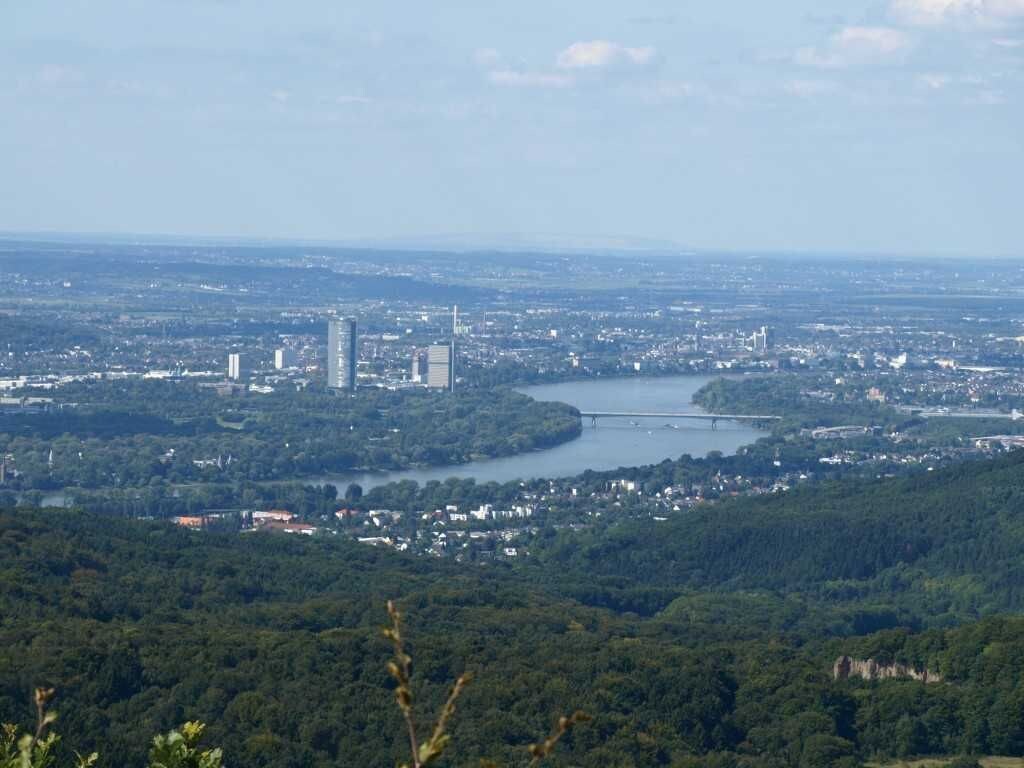 A cityscape with a river, bridges, and dense greenery.