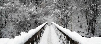 Appartement moderne dans la r��gion de Cologne / Bergisches Land - Location Gemmel