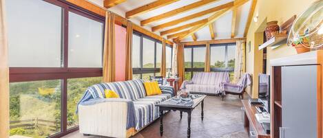 TV, fireplace, video game console, DVD player