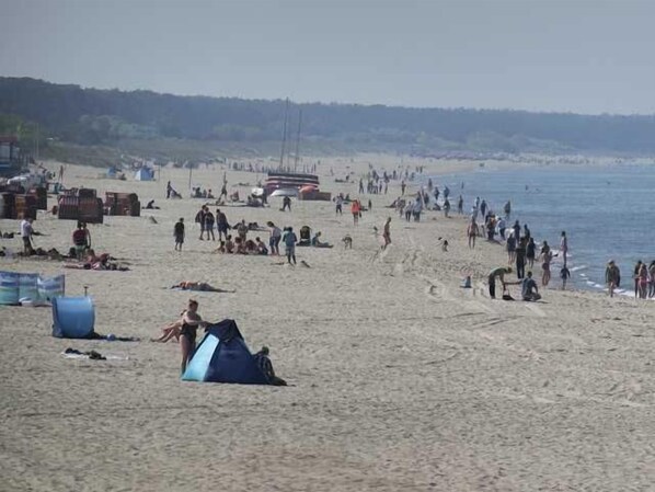Plage à proximité