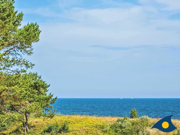 Unclassified image, 1 of 16, button