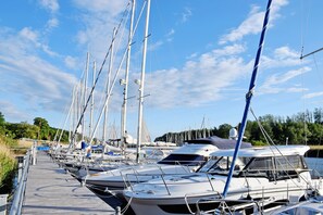 Imagen sin descripción, 5 de 14, botón