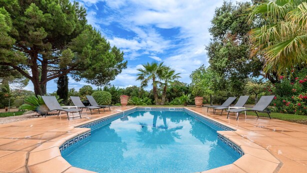 A rectangular swimming pool with a tiled edge, surrounded by lounge chairs and tropical vegetation. - Stunning home in Vias (Vias)