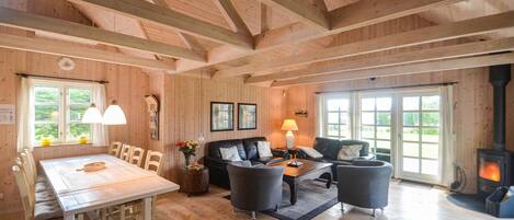 TV, fireplace, video-game console, DVD player