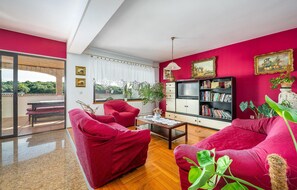 Télévision, cheminée, lecteur de DVD