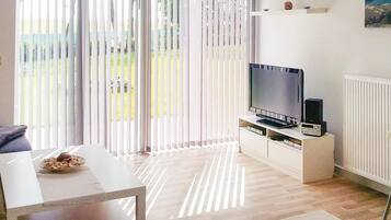 Fernseher, Stereoanlage