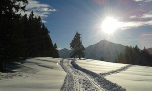 Photo non classée, 5 sur 32, bouton