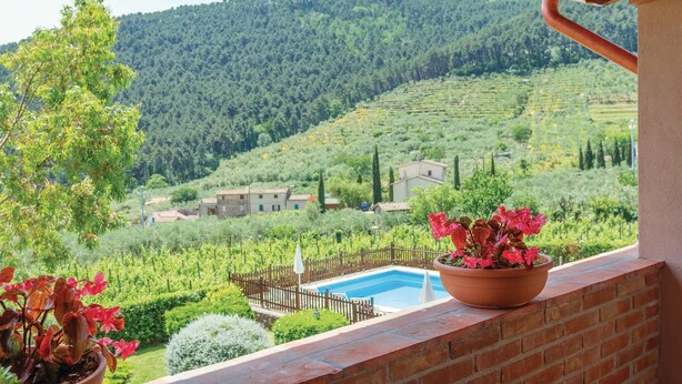 A balcony with a view of a vineyard, a swimming pool, and a terraced hillside.