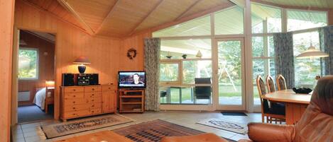 Una televisión, una chimenea