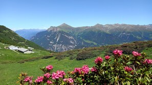 Photo non classée, 5 sur 64, bouton