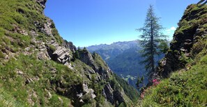 Uklassifisert bilde, 5 av 64, knapp