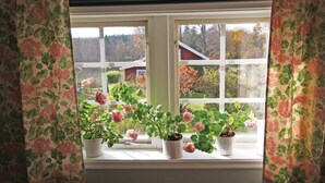 A window with three potted plants and a view of a garden and buildings. - 3 bedroom amazing home in Svenljunga (Svenljunga)