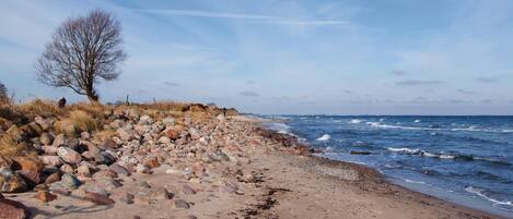 Ranta lähistöllä, kalastusmahdollisuus