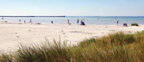 Une plage où des gens se prélassent au soleil et se baignent.