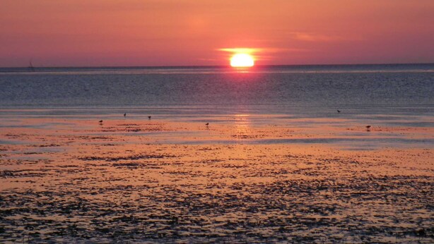 A sunset over a beach with calm waters and a few birds. - Apartment Fofftein (Friedrichskoog)