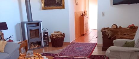 تلفزيون، مدفأة