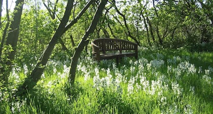 Gartenzimmer - Gutshaus Ketelshagen - romantisch, ruhige Lage