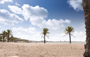 Playa en los alrededores 