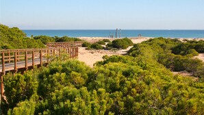 Un paseo marítimo de madera que conduce a una playa arenosa, con follaje verde y tupido en primer plano.