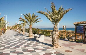 Un sendero pavimentado bordeado de palmeras y vistas al mar.