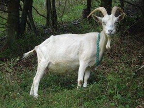 Botón de imagen sin clasificar, 3 de 51