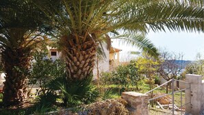 Una palmera en un jardín con un muro de piedra y una reja de metal.