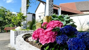 Un jardín con flores rosas y azules, un objeto esférico blanco y un banco de madera.