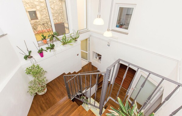A multi-level interior with wooden flooring, a staircase with metal railings, and various potted plants.