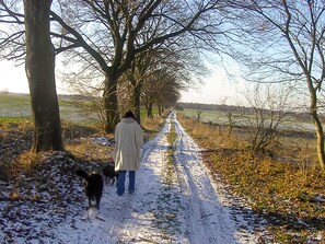 Imagem sem classificação, 2 de 24, botão