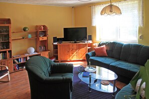 Fernseher, Kamin