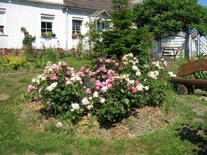 Property grounds - family friendly apartment with large garden - apartment (Rubkow)