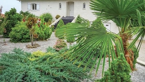 Ein Haus mit weißer Fassade, grauem Dach und einer kleinen Veranda. Der Garten umfasst verschiedene Pflanzen und Sträucher, darunter eine große Palme.