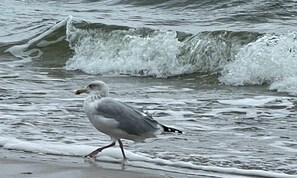 Photo non classée, 5 sur 32, bouton