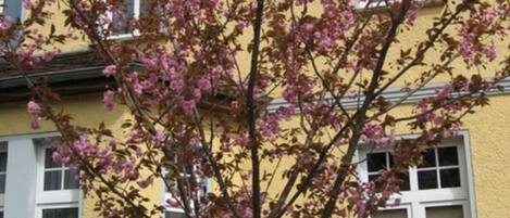 Detalle del exterior