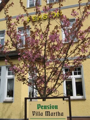 Un bâtiment jaune avec une enseigne indiquant « Pension Villa Martha », et un arbre aux fleurs roses devant.