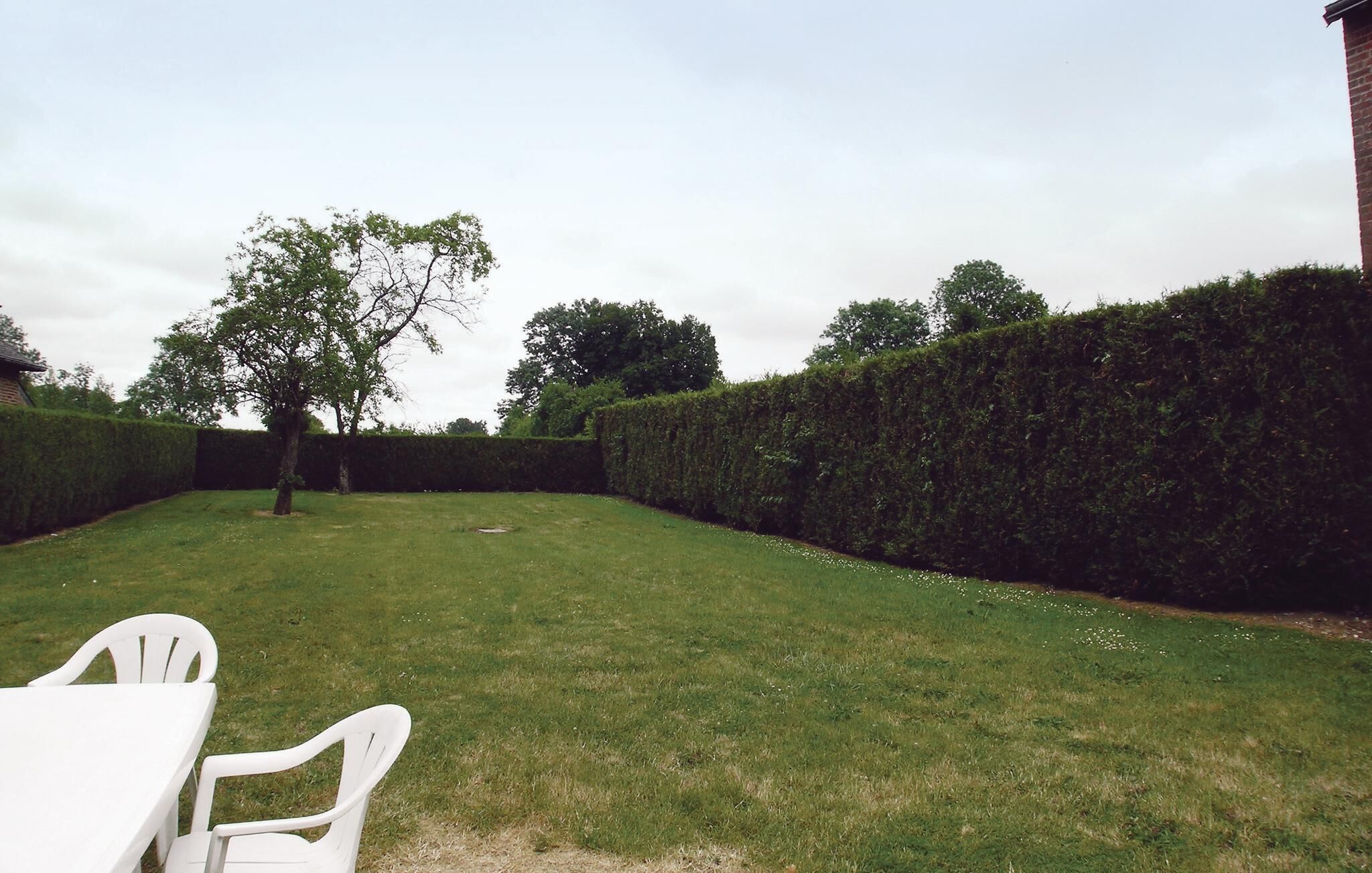 A grassy backyard with a white plastic chair and a hedge.