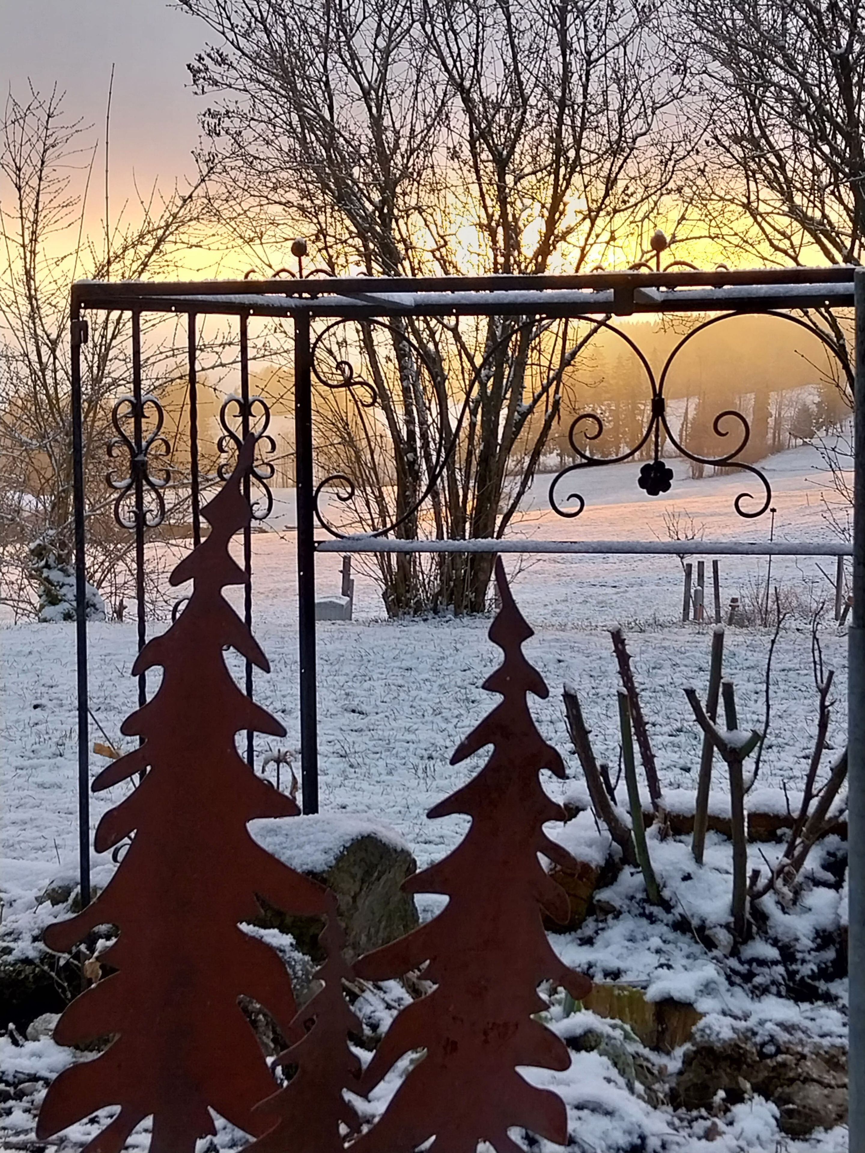 A metal gate with a snow-covered landscape and bare trees in the background.