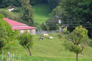 Uklassifisert bilde, 5 av 35, knapp