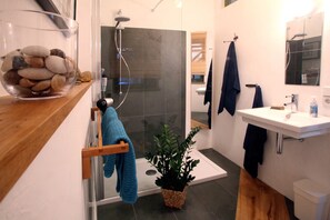 Dusche, Haartrockner, Handtücher