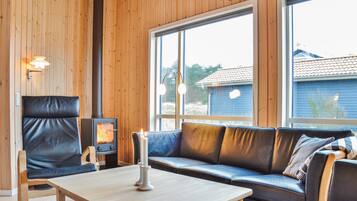 TV, fireplace, DVD player