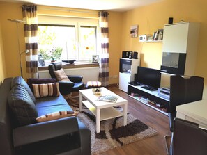 Flat-screen TV