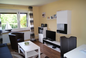 Flat-screen TV